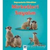 Hayvanlarla Etkinlikler - Mirketleri Sayalım - Tracey Steffora - Mavi Kelebek Yayınları
