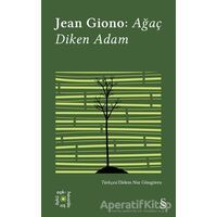 Ağaç Diken Adam - Everest Açıkhava 17 - Jean Giono - Everest Yayınları