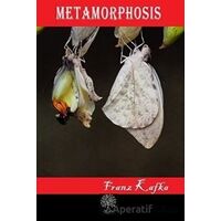 Metamorphosis - Franz Kafka - Platanus Publishing