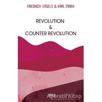 Revolution and Counter Revolution - Friedrich Engels - Gece Kitaplığı