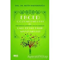 Ebced Çözümlemeleri İle Faiz Efendi-Şakir Bey Mecmuasından Lale Devri Tarih Manzumeleri