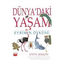 Dünyadaki Yaşam - Steve Jenkins - Kuraldışı Yayınevi