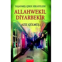 Allahwekil Diyarbekir - Aziz Gülmüş - Sınırsız Kitap