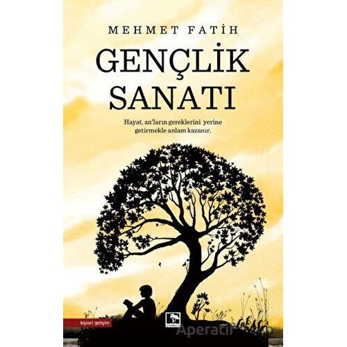 Gençlik Sanatı - Mehmet Fatih - Çınaraltı Yayınları