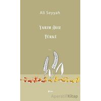 Yarım Ağız Türkü - Ali Seyyah - Şule Yayınları