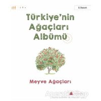 Türkiyenin Ağaçları Albümü - Meyve Ağaçları - Işıl Erverdi - Kumdan Kale