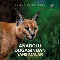 Anadolu Doğasından Yansımalar - Bülent Gözcelioğlu - TÜBİTAK Yayınları