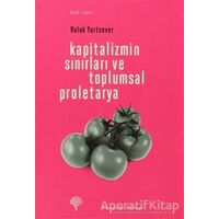 Kapitalizmin Sınırları ve Toplumsal Proletarya - Haluk Yurtsever - Yordam Kitap