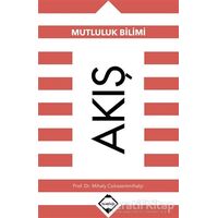 Akış: Mutluluk Bilimi - Mihaly Csikszentmihalyi - Buzdağı Yayınevi