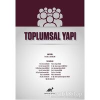 Toplumsal Yapı - Seda Efe - Paradigma Akademi Yayınları