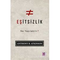 Eşitsizlik: Ne Yapılabilir? - Anthony B. Atkinson - Efil Yayınevi