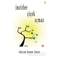 İncirler Çiçek Açmaz - Gülcan Baran Turan - Cinius Yayınları