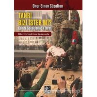 Tanrı Bizi İster Mi? - Onur Sinan Güzaltan - Kaynak Yayınları