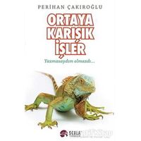 Ortaya Karışık İşler - Perihan Çakıroğlu - Scala Yayıncılık