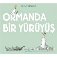 Ormanda Bir Yürüyüş - Gwyn Perkins - İş Bankası Kültür Yayınları