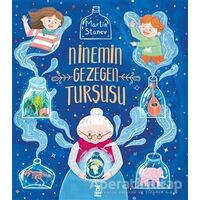 Ninemin Gezegen Turşusu - Martin Stanev - Taze Kitap