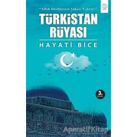 Türkistan Rüyası - Hayati Bice - Post Yayınevi
