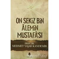 On Sekiz Bin Alemin Mustafası - Mehmet Yaşar Kandemir - Tahlil Yayınları