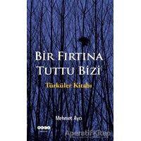 Bir Fırtına Tuttu Bizi - Mehmet Aycı - Hece Yayınları