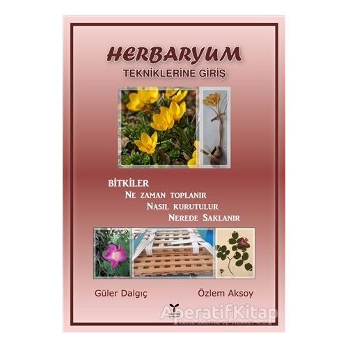 Herbaryum - Özlem Aksoy - Umuttepe Yayınları