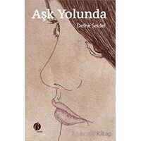 Aşk Yolunda - Defne Seidel - Herdem Kitap