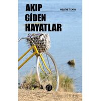 Akıp Giden Hayatlar - Hediye Tekin - Herdem Kitap