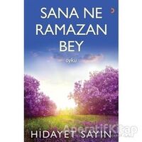 Sana Ne Ramazan Bey - Hidayet Sayın - Cinius Yayınları