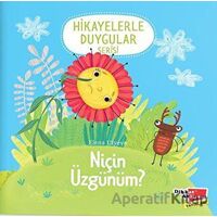 Niçin Üzgünüm? (Hikayelerle Duygular Serisi 2) - Elena Ulyeva - Dikkat Atölyesi Yayınları