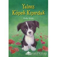 Yalnız Köpek Kıpırdak - Holly Webb - Pegasus Yayınları