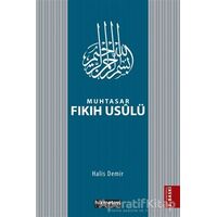 Muhtasar Fıkıh Usulü - Halis Demir - Hikmetevi Yayınları