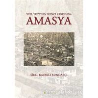 17. Yüzyılın İkinci Yarısında Amasya - Sibel Kavaklı Kundakçı - Hiperlink Yayınları