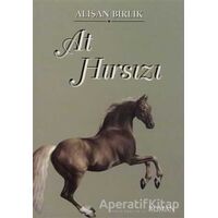 At Hırsızı - Alişan Birlik - Hiperlink Yayınları