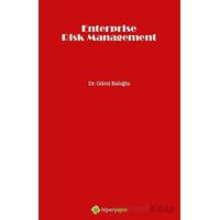 Enterprise Risk Management - Gürol Baloğlu - Hiperlink Yayınları