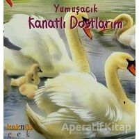 Yumuşacık Kanatlı Dostlarım - Kolektif - Kaknüs Yayınları