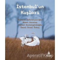 İstanbul’un Kuşları - Kolektif - İBB Yayınları
