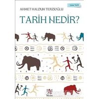 Tarih Nedir? - Genç Tarih Serisi - Ahmet Haldun Terzioğlu - Panama Yayıncılık