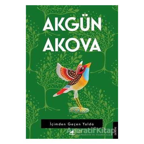 İçimden Geçen Yolda - Akgün Akova - Kara Karga Yayınları