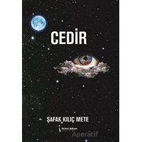 Cedir - Şafak Kılıç Mete - İkinci Adam Yayınları