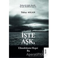 İşte Aşk, Elimdekinin Hepsi Bu - Tülay Aslan - İkinci Adam Yayınları