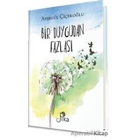 Bir Duygudan Fazlası - Ayşegül Çiçekoğlu - Pika Yayınevi