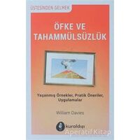 Öfke ve Tahammülsüzlük - William Davies - Kuraldışı Yayınevi