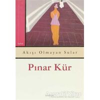 Akışı Olmayan Sular - Pınar Kür - Everest Yayınları