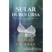 Sular Durulursa - Ahmed Günbay Yıldız - Timaş Yayınları