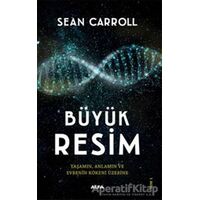 Büyük Resim - Sean Carroll - Alfa Yayınları