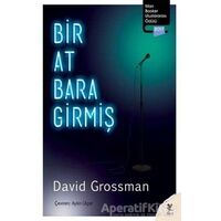 Bir At Bara Girmiş - David Grossman - Siren Yayınları