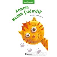 Annem Neden Çıldırdı - Aytül Akal - Tudem Yayınları