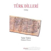 Türk Dilleri Giriş - Talat Tekin - BilgeSu Yayıncılık