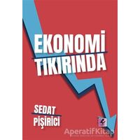 Ekonomi Tıkırında - Sedat Pişirici - Efil Yayınevi