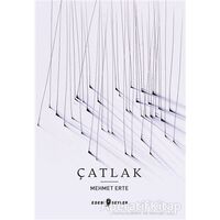 Çatlak - Mehmet Erte - Edebi Şeyler