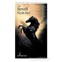 Siyah İnci - Anna Sewell - İlgi Kültür Sanat Yayınları